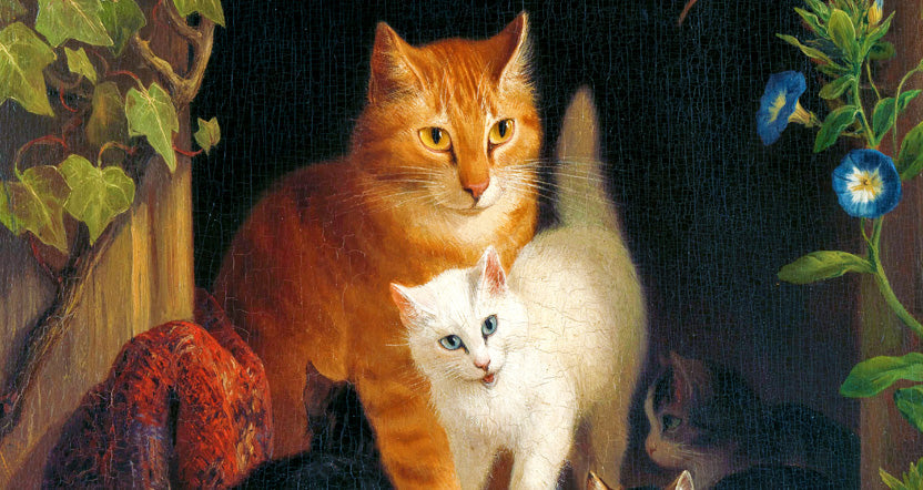 Animales