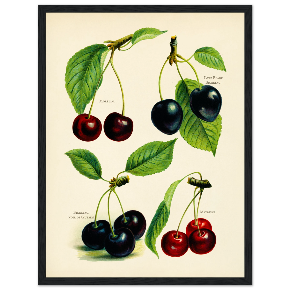 0d5b460a-fc92-495b-9e3f-1ba18b822a79