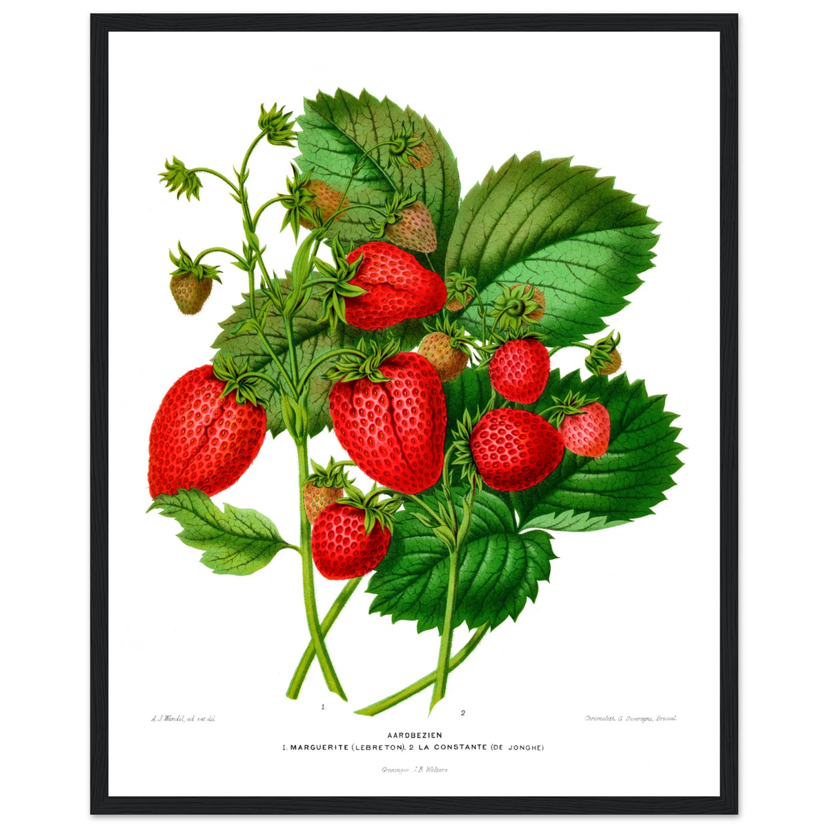 0f678907-7bc1-4513-afde-a49b64e42db2