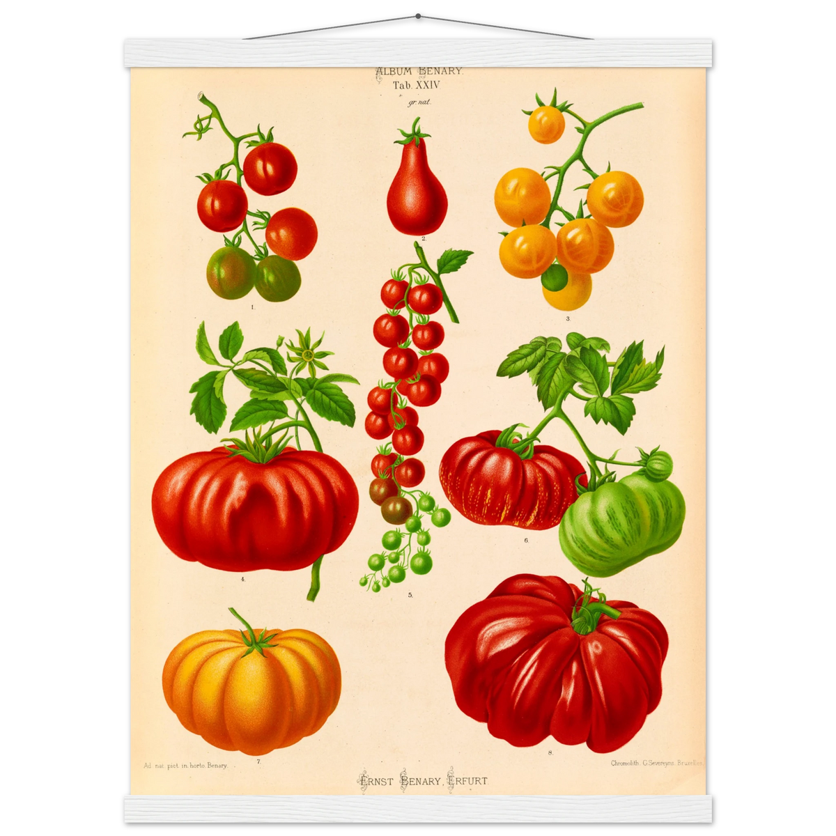 1a3cc860-1ba5-49c4-9fd1-a6fafc857bbc