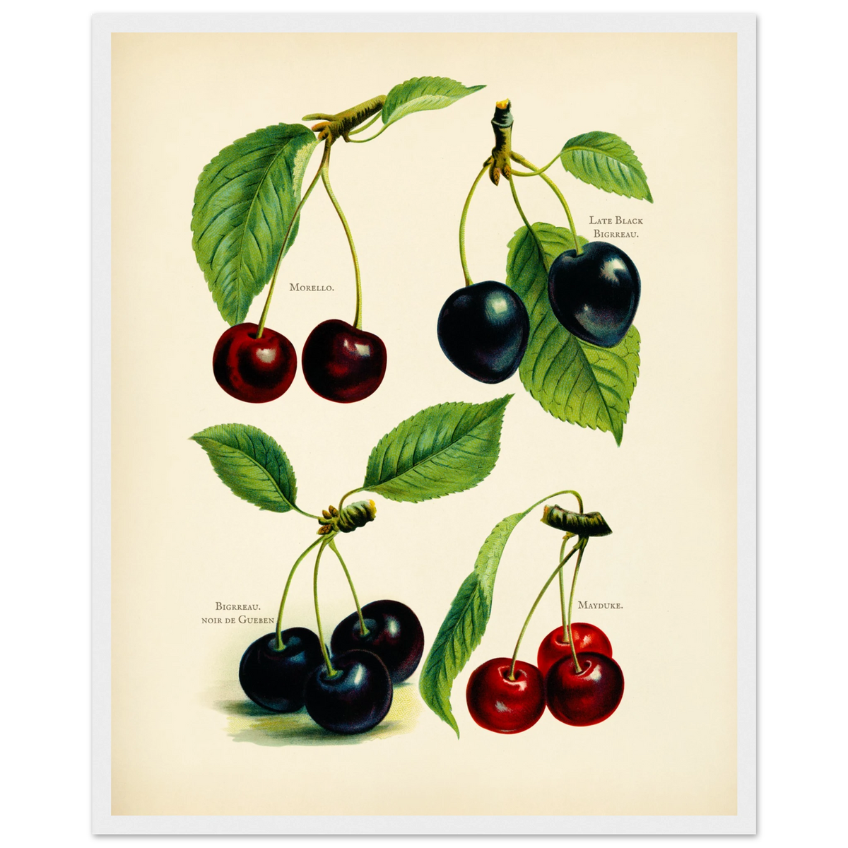 50b19524-ff05-4e61-b5e2-197c5899e4d1