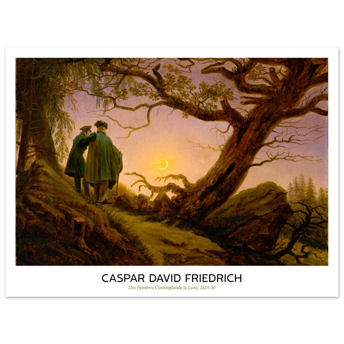 72db18da-94ab-4748-8025-f0cede3de0d9