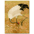 G.A. Audsley, Sarus crane in rice field, 1884