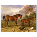 James Ward, Reformer, Blucher, Tory and Crib, 1836
