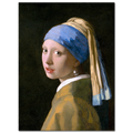 J. Vermeer, La Chica de la Perla, 1665