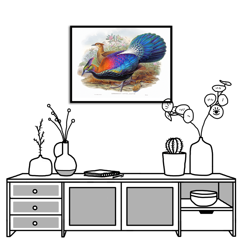 J. Gould and Henry C. Lophophorus L'Huysi, 1869