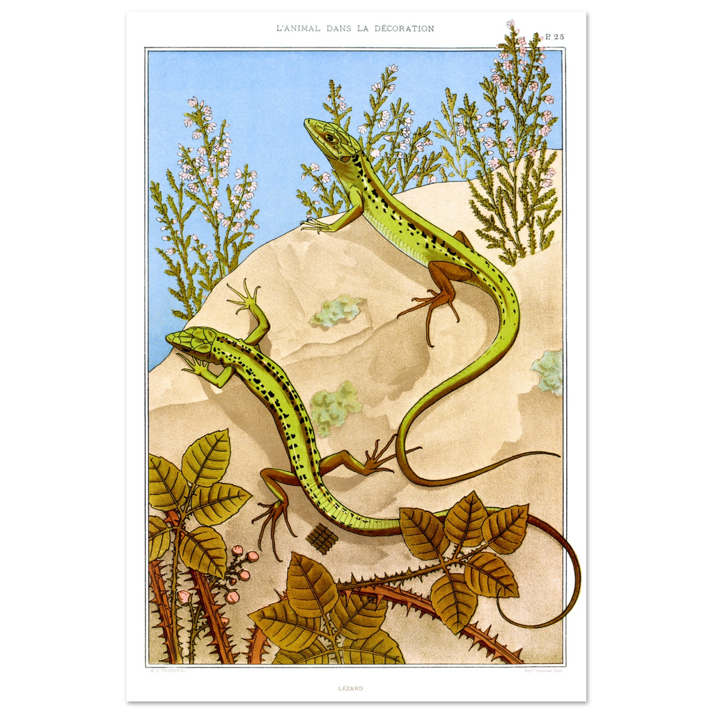 Póster de Maurice Pillard Verneuil, Lézard, 1897, de Buenpóster