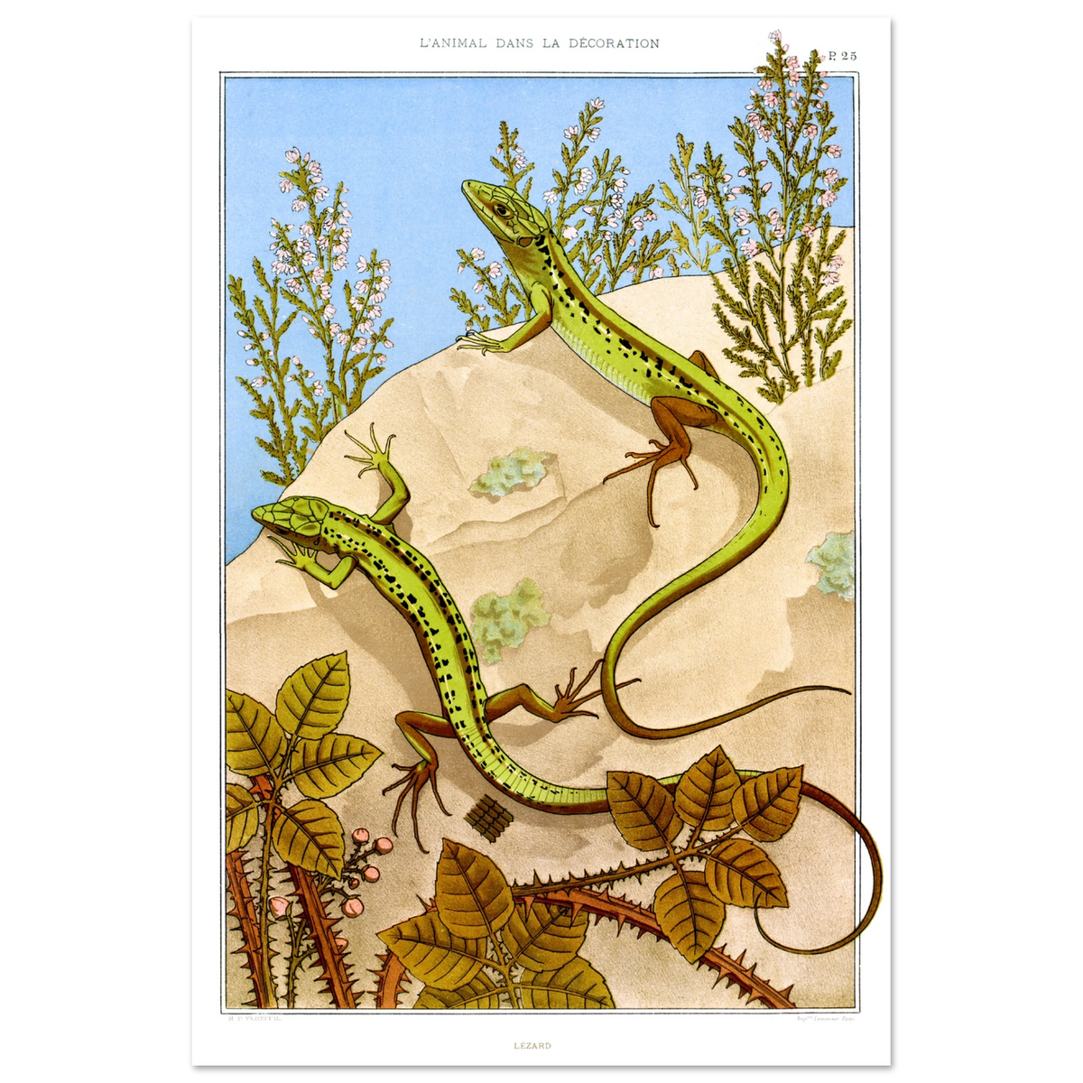 Póster de Maurice Pillard Verneuil, Lézard, 1897, de Buenpóster