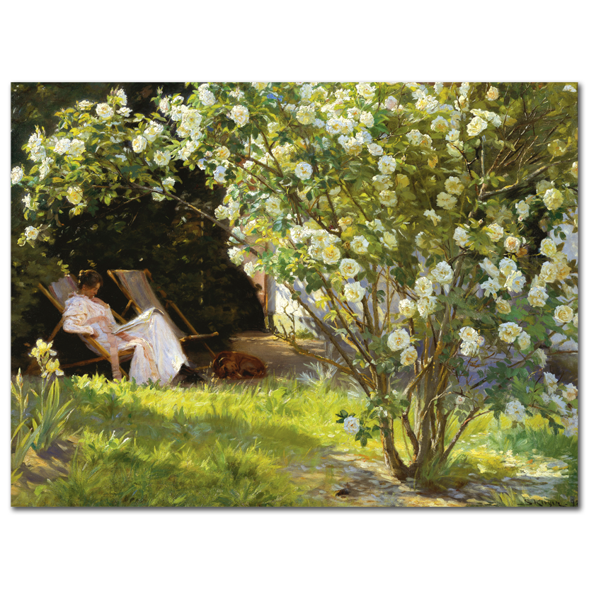 P.S. Krøyer, Roses. Marie Krøyer seated in the deckchair in the garden, 1893