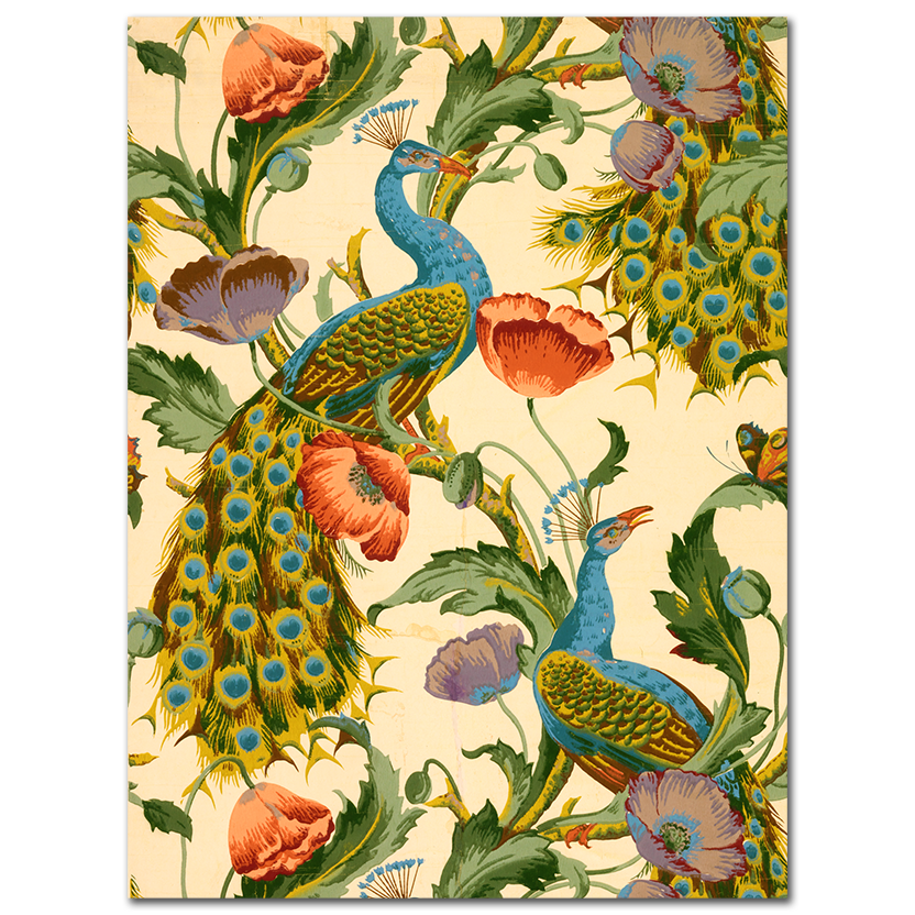 Autor Desconocido, The Peacock, 1896