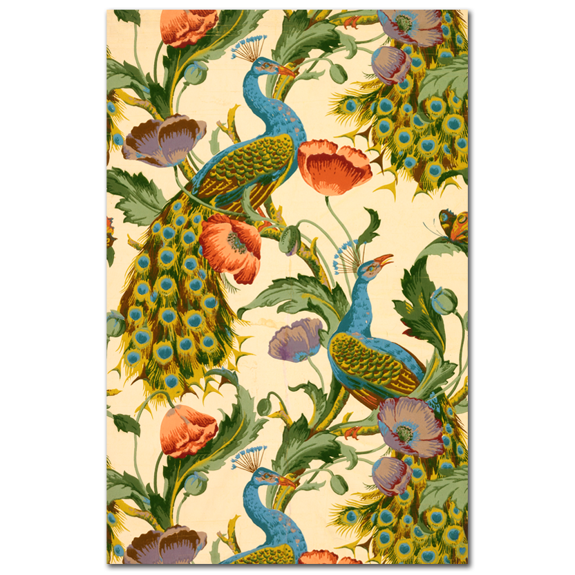 Autor Desconocido, The Peacock, 1896