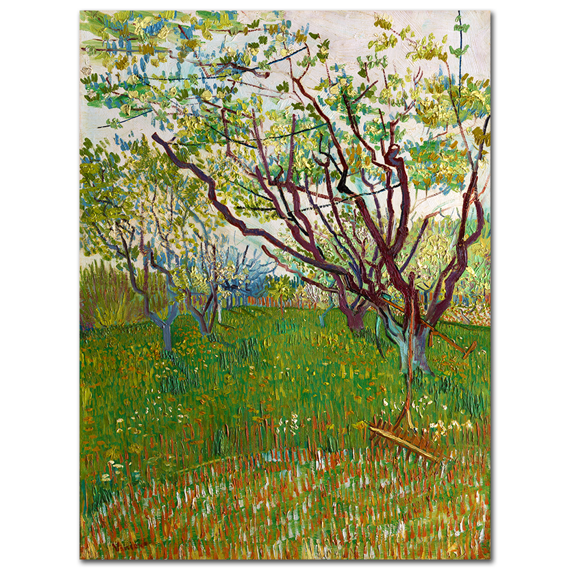 Vincent Van Gogh, The Flowering Orchard, 1888