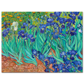Vincent Van Gogh, Irises, 1889