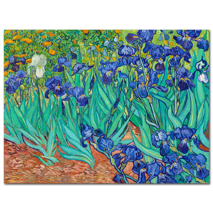 Vincent Van Gogh, Irises, 1889