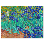 Vincent Van Gogh, Irises, 1889