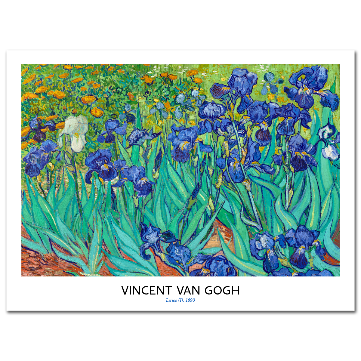 Vincent Van Gogh, Irises, 1889
