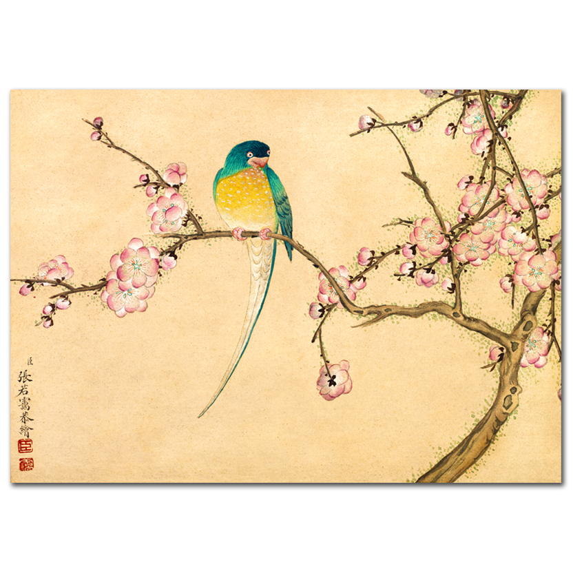 Zhang Ruoai, Bird with Plum Blossoms, 1700s