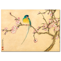 Zhang Ruoai, Bird with Plum Blossoms, 1700s