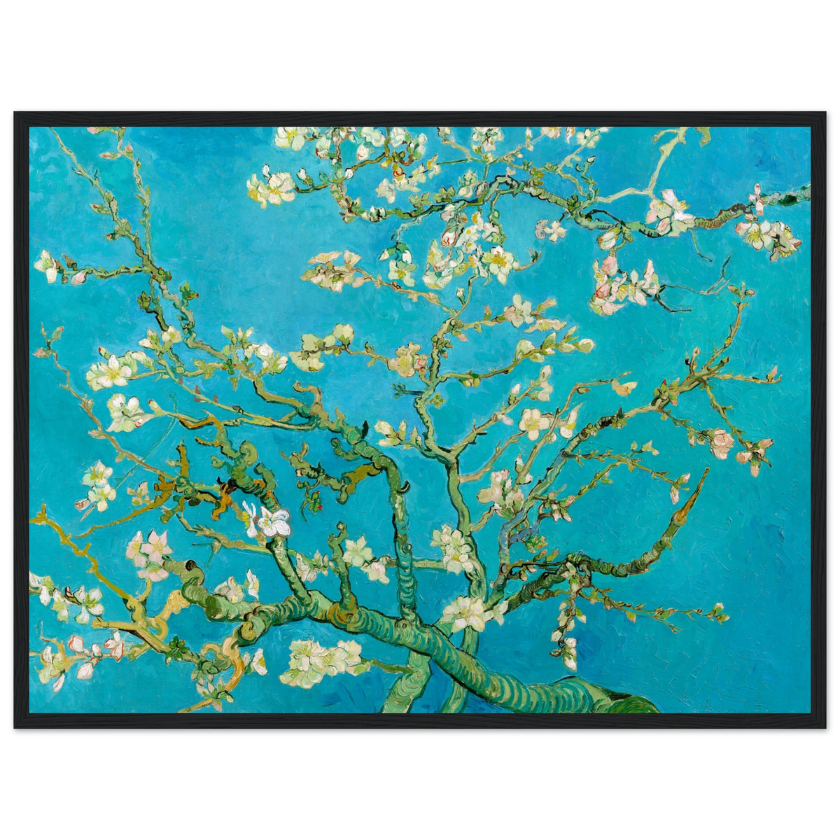 d31e0708-1aed-4ff4-86da-1821a2a4974a
