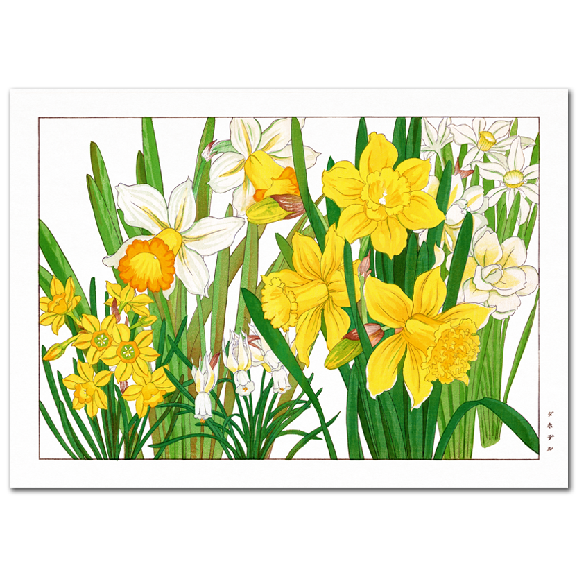 Tanigami Kônan, Daffodils, 1917