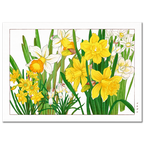 Tanigami Kônan, Daffodils, 1917
